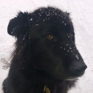 Meet your Posher, Kay